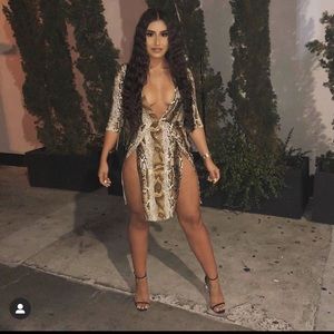 Snake Print Dress